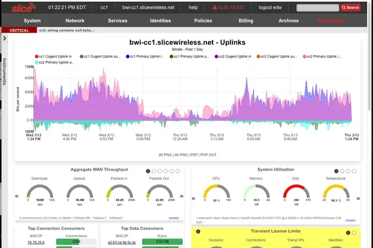 Managed network monitoring dashboard showing live throughput